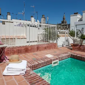 Tomas Ibarra Pool & Luxury Sevilla